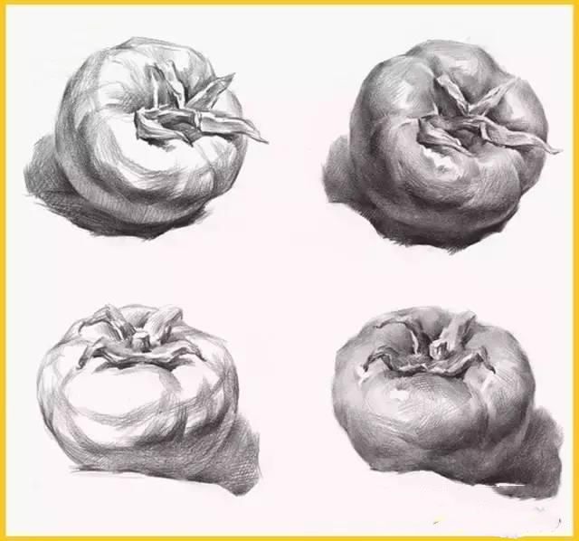 真的画错了――你的素描西红柿太圆啦！