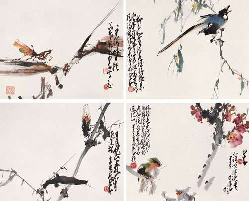 zhaoshaoang_huaniao02s