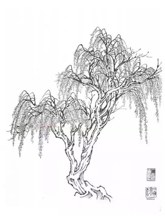 山水画基础技法,山水画基础教程,图文详解各种树的画法