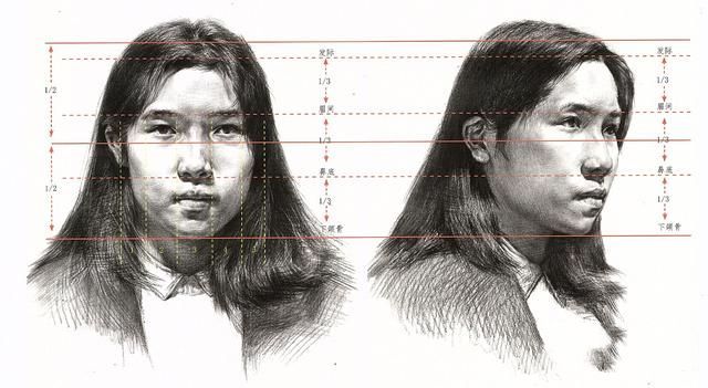 素描人物|头骨骨骼与比例