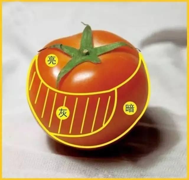 真的画错了――你的素描西红柿太圆啦!