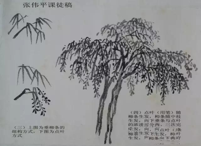 画树难画柳：如何画柳？