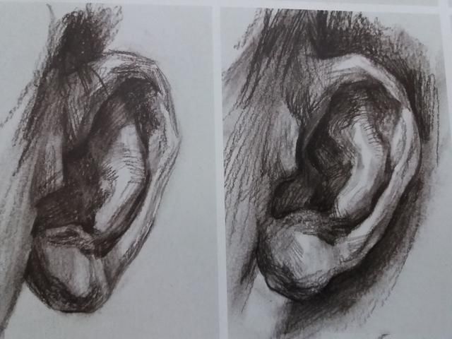 人物耳朵素描怎么画  素描耳朵画法