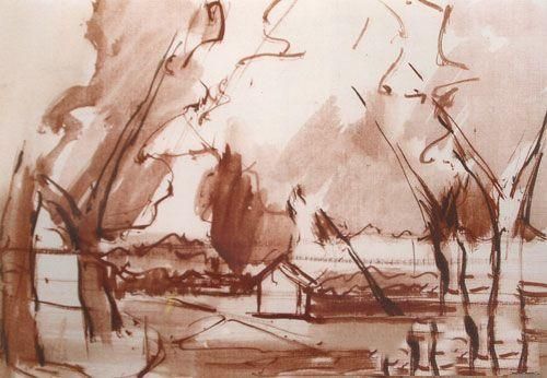 色彩风景树林类――阳光下的树林