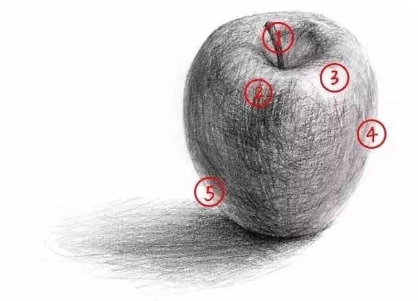 素描解刨学角度教你画一个苹果一把香蕉