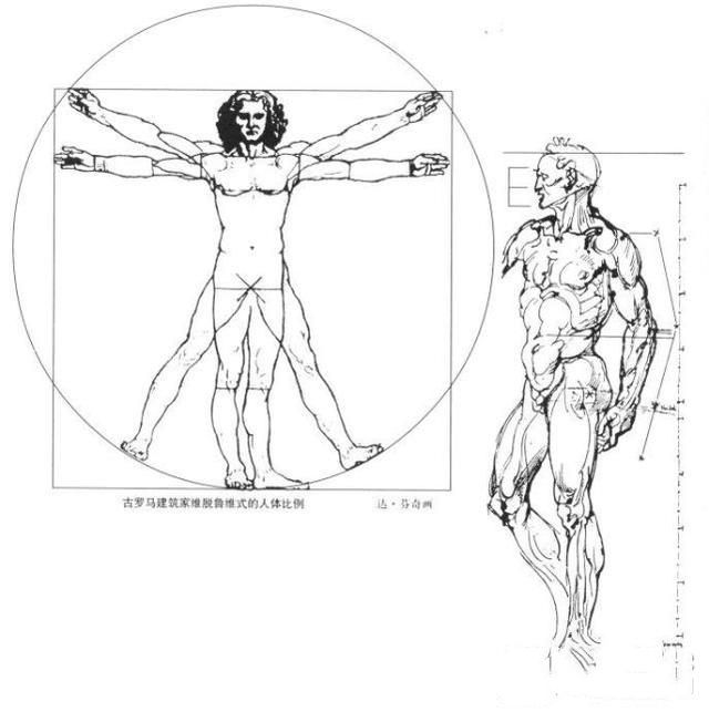 怎样在短时间内学好素描？素描基础教程和素描基础知识的讲解