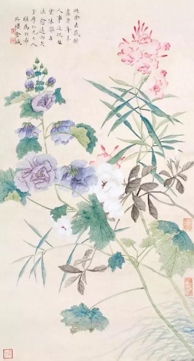 大师笔下芙蓉花，似美人初醉