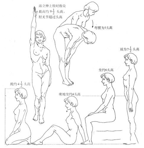 速写详细教程 速写详细教程
