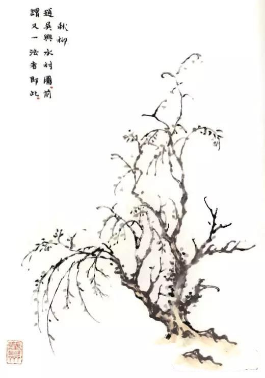 画树难画柳：如何画柳？