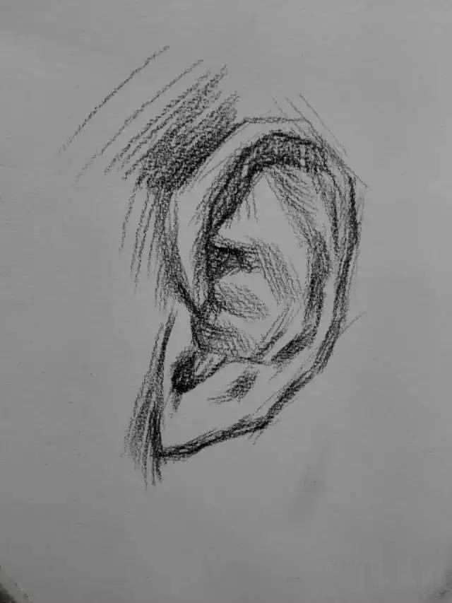 素描教程：耳朵