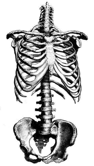 素描人像必修课