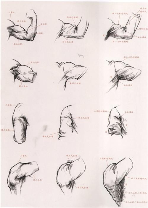 想画好速写,你必须要牢记的几点