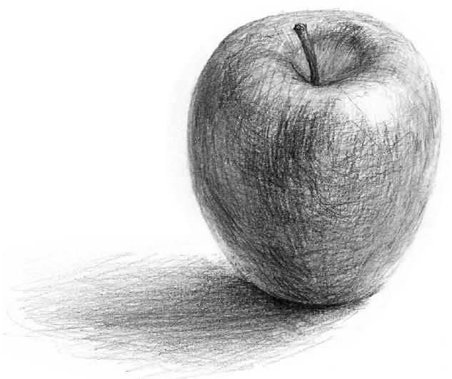 素描解刨学角度教你画一个苹果一把香蕉