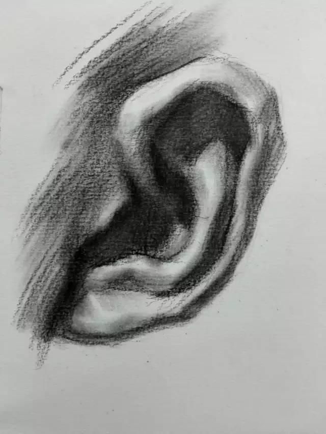 耳朵素描―详细教程