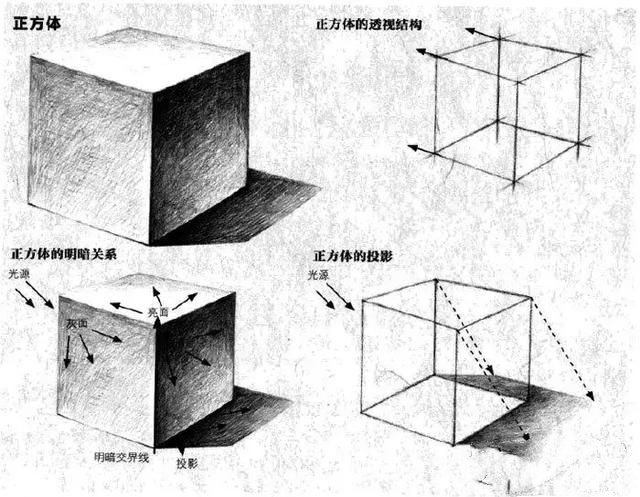 如何学素描――让我告诉你如何学素描!