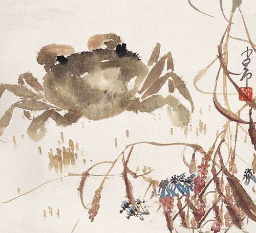 zhaoshaoang_huaniao35s