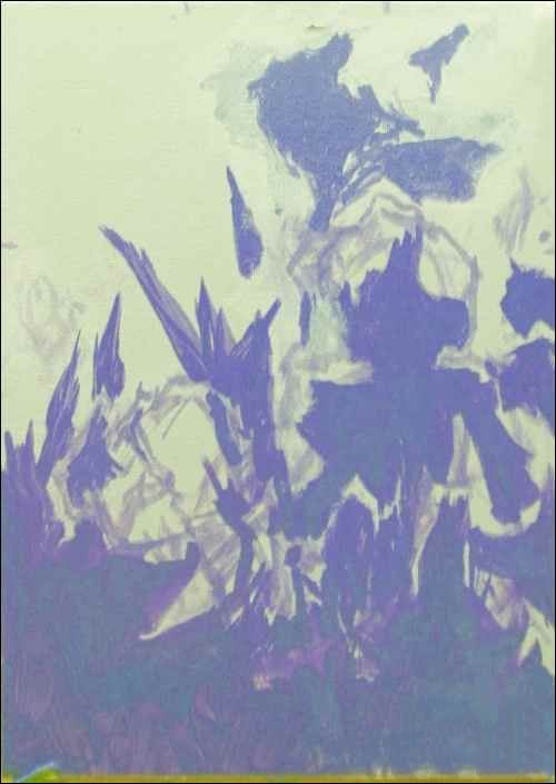 虹膜非底层色500