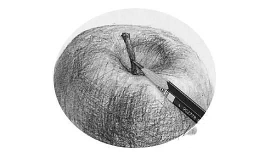 素描解刨学角度教你画一个苹果一把香蕉