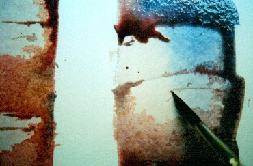 水彩画演示11照片 水彩画演示11