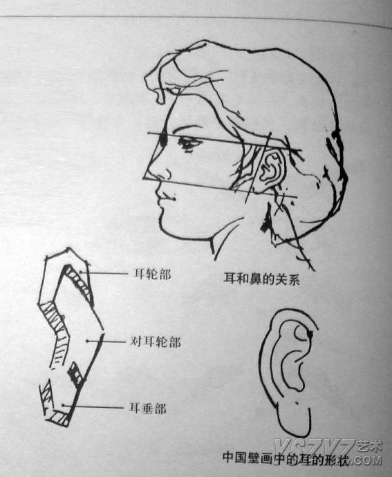 人体素描画法教程