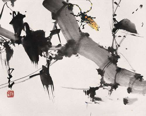 zhaoshaoang_huaniao44s