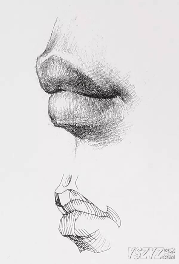 素描人物丨嘴巴、耳朵画法详解