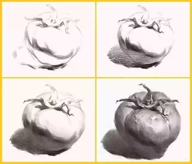 真的画错了――你的素描西红柿太圆啦！