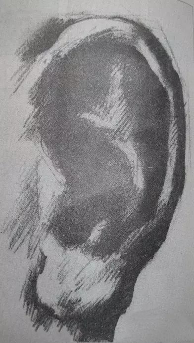 如何学素描――素描人物五官的画法