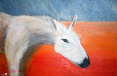 画马一步一步示范