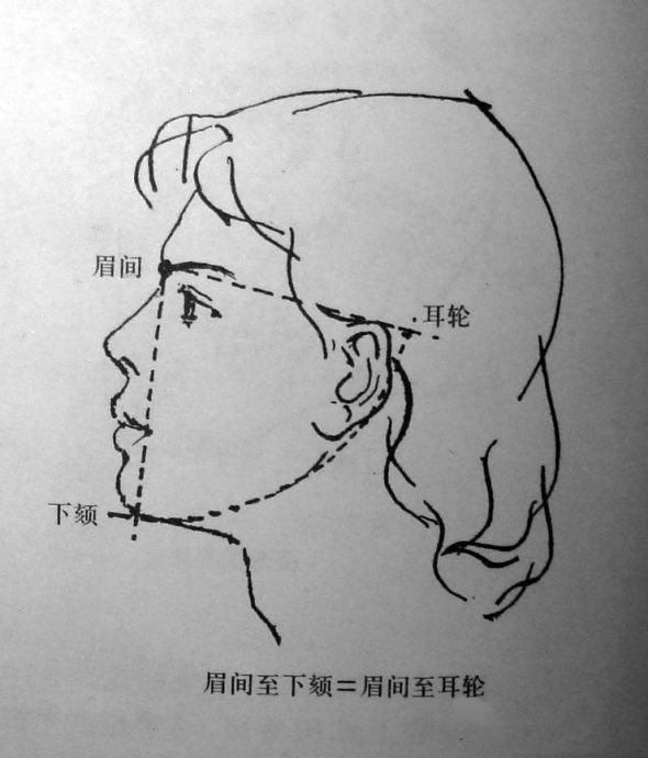 怎样在短时间内学好素描？素描基础教程和素描基础知识的讲解