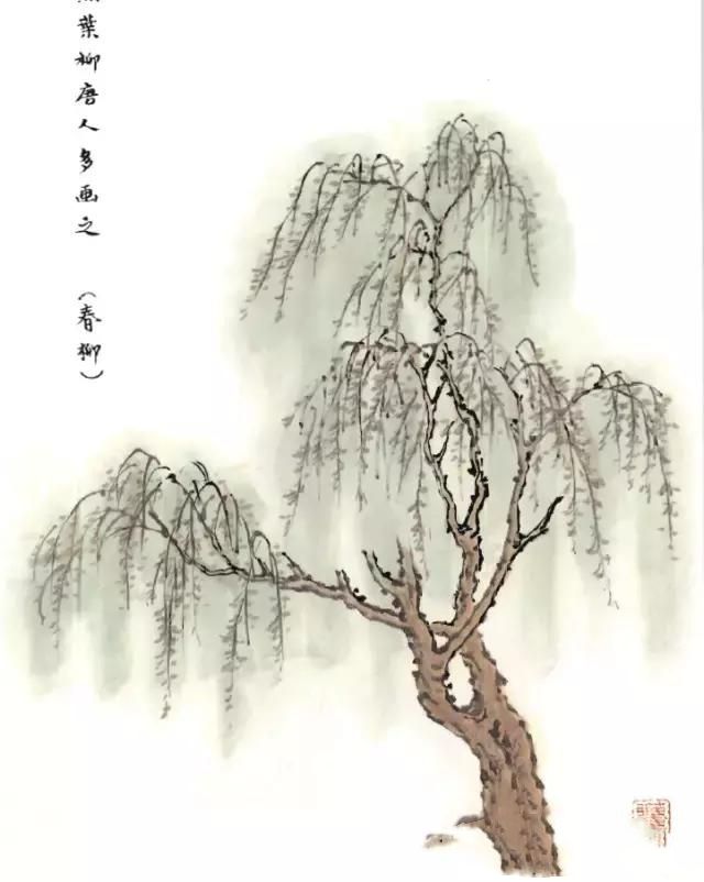 画树难画柳：如何画柳？