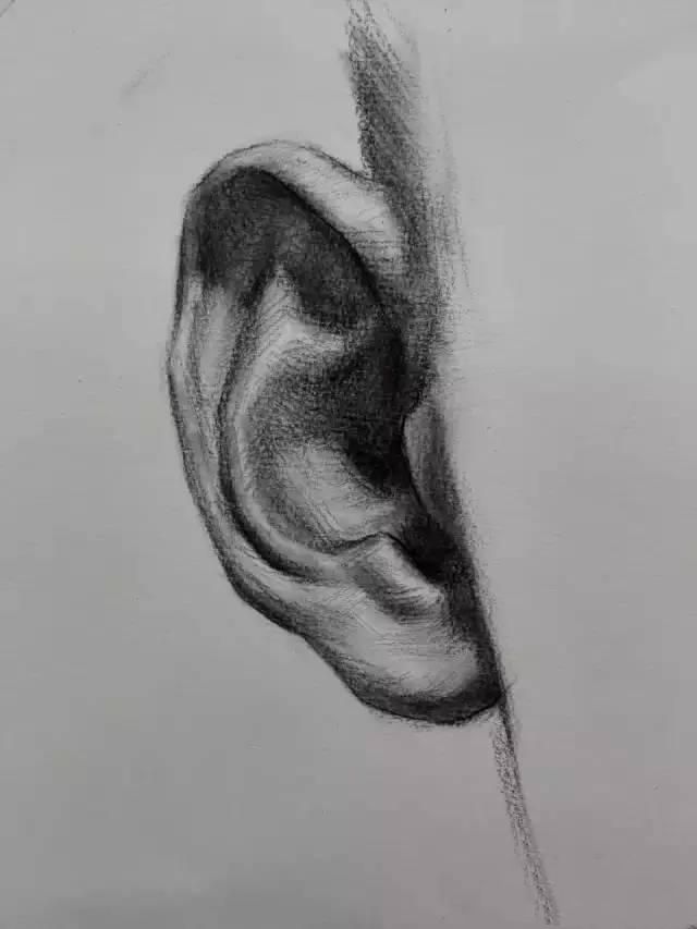 素描教程：耳朵