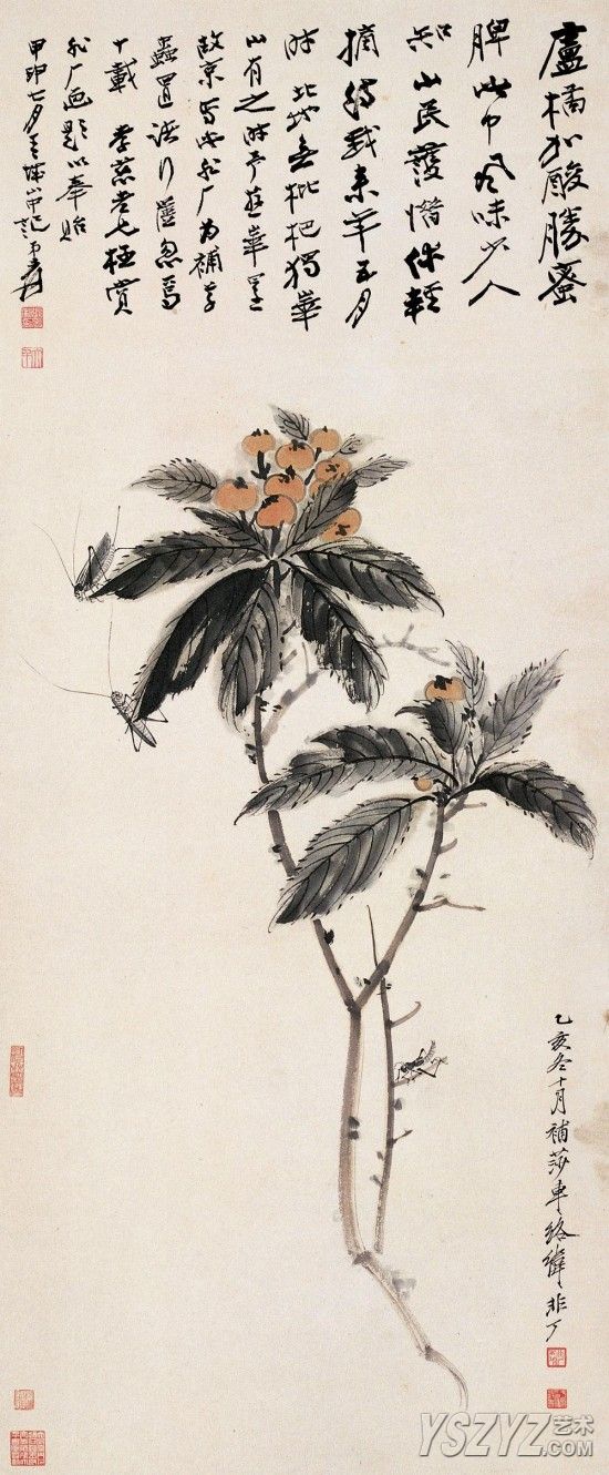 于非�/张大千《枇杷草虫图》