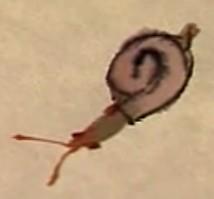 蜜蜂，瓢虫，蟋蟀、蚱蜢，蜗牛，浮游等画法