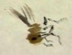 蜜蜂，瓢虫，蟋蟀、蚱蜢，蜗牛，浮游等画法