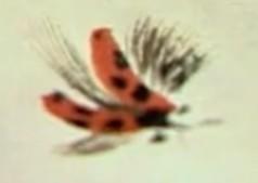 蜜蜂，瓢虫，蟋蟀、蚱蜢，蜗牛，浮游等画法