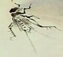 蜜蜂，瓢虫，蟋蟀、蚱蜢，蜗牛，浮游等画法