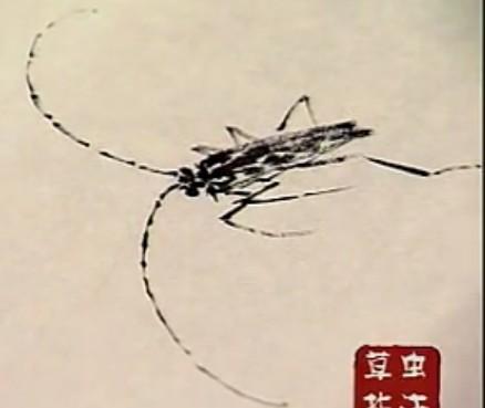 蜜蜂，瓢虫，蟋蟀、蚱蜢，蜗牛，浮游等画法