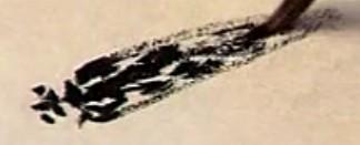 蜜蜂，瓢虫，蟋蟀、蚱蜢，蜗牛，浮游等画法