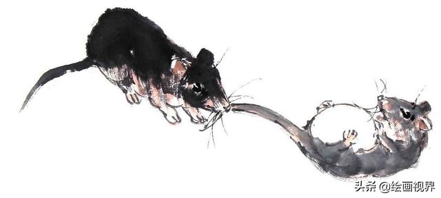 老鼠的画法图解