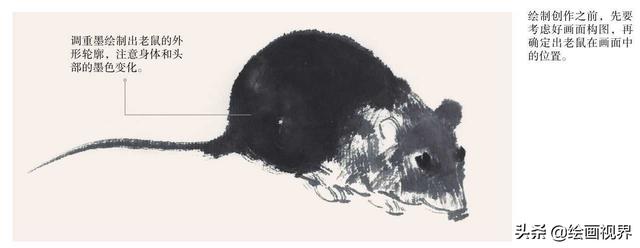 老鼠的画法图解