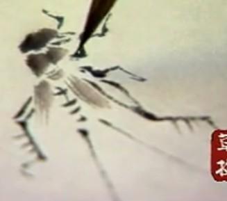 蜜蜂，瓢虫，蟋蟀、蚱蜢，蜗牛，浮游等画法