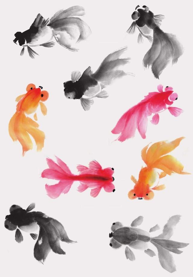 五种常见的鱼类画法