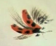 蜜蜂，瓢虫，蟋蟀、蚱蜢，蜗牛，浮游等画法