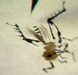 蜜蜂，瓢虫，蟋蟀、蚱蜢，蜗牛，浮游等画法