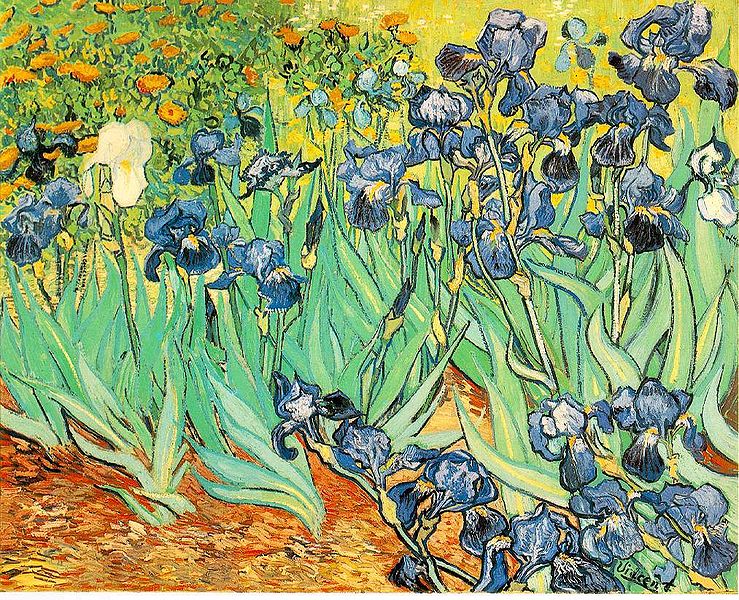 文森特·梵高(Vincent van Gogh)作品《鸢尾花》