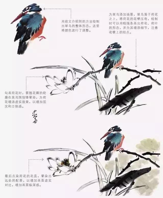 如何才能把鸟画好？