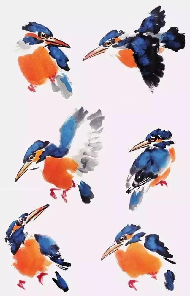 如何才能把鸟画好？