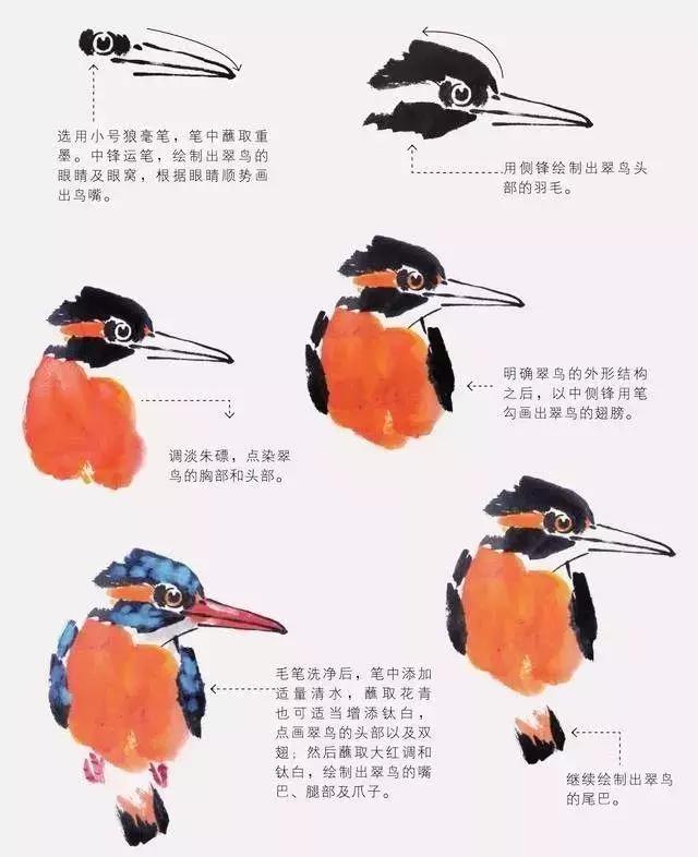 如何才能把鸟画好？