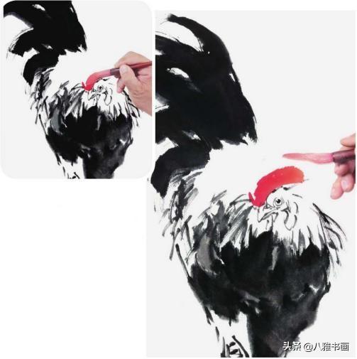 正面行走的公鸡的画法